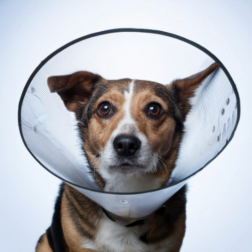 Post Surgery